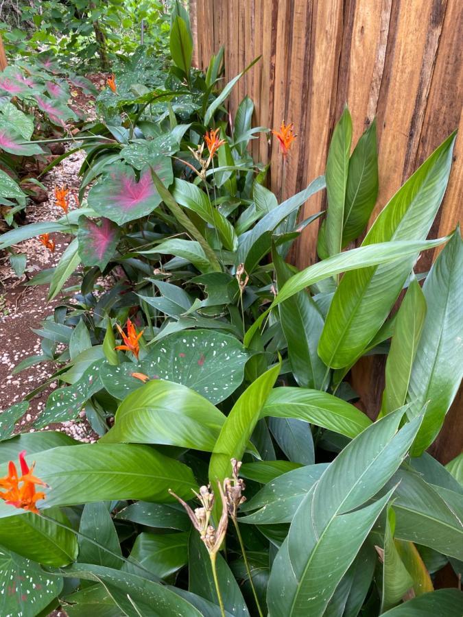 Finca Avellanas Lorena Екстер'єр фото