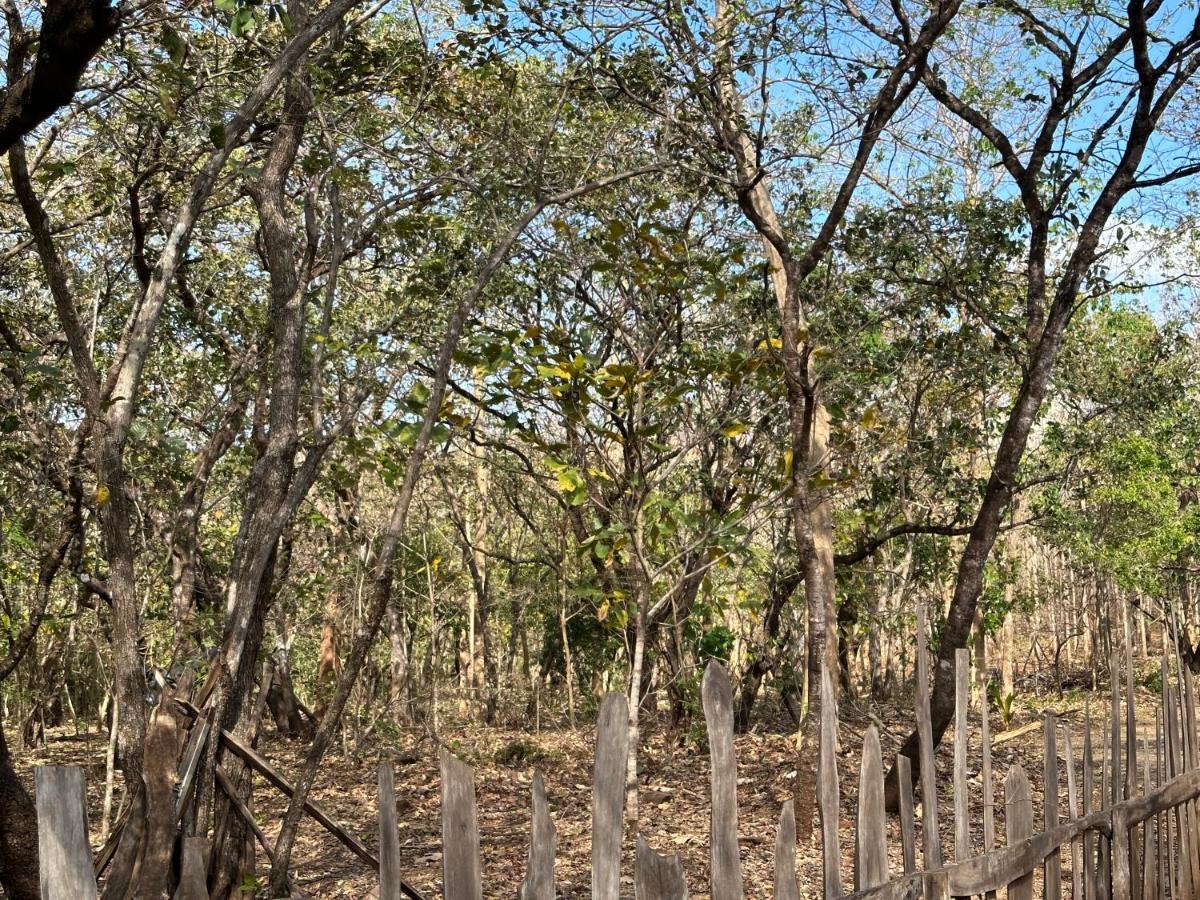 Finca Avellanas Lorena Екстер'єр фото