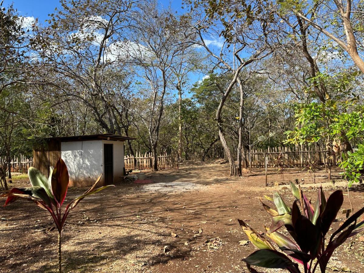 Finca Avellanas Lorena Екстер'єр фото