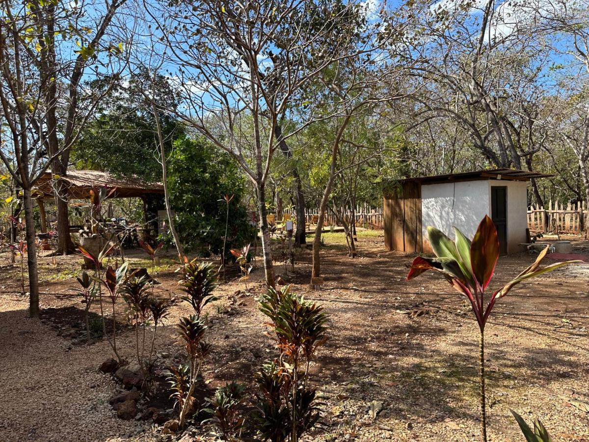 Finca Avellanas Lorena Екстер'єр фото