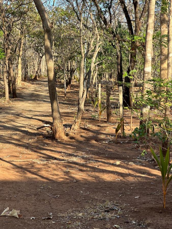 Finca Avellanas Lorena Екстер'єр фото
