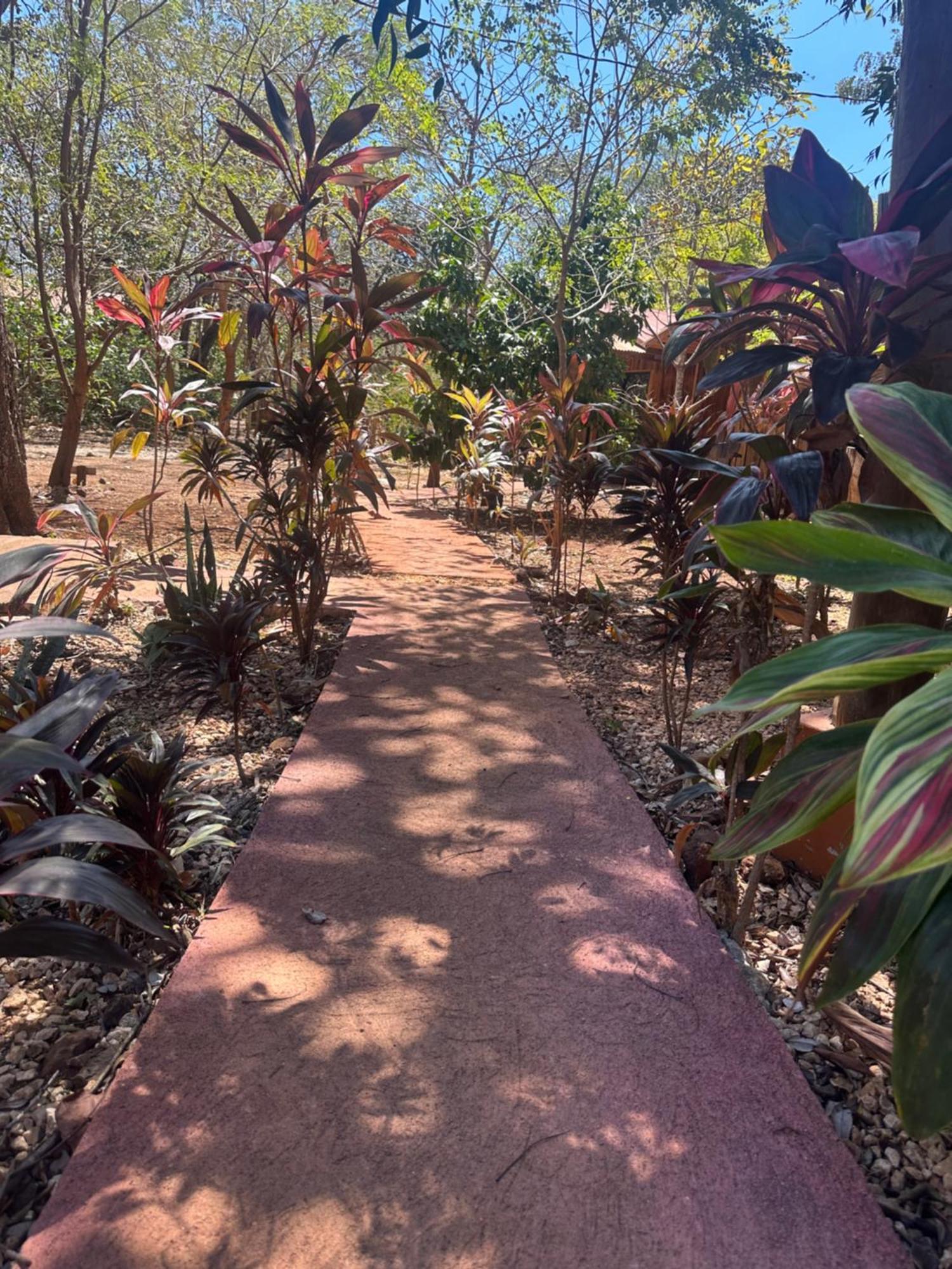 Finca Avellanas Lorena Екстер'єр фото
