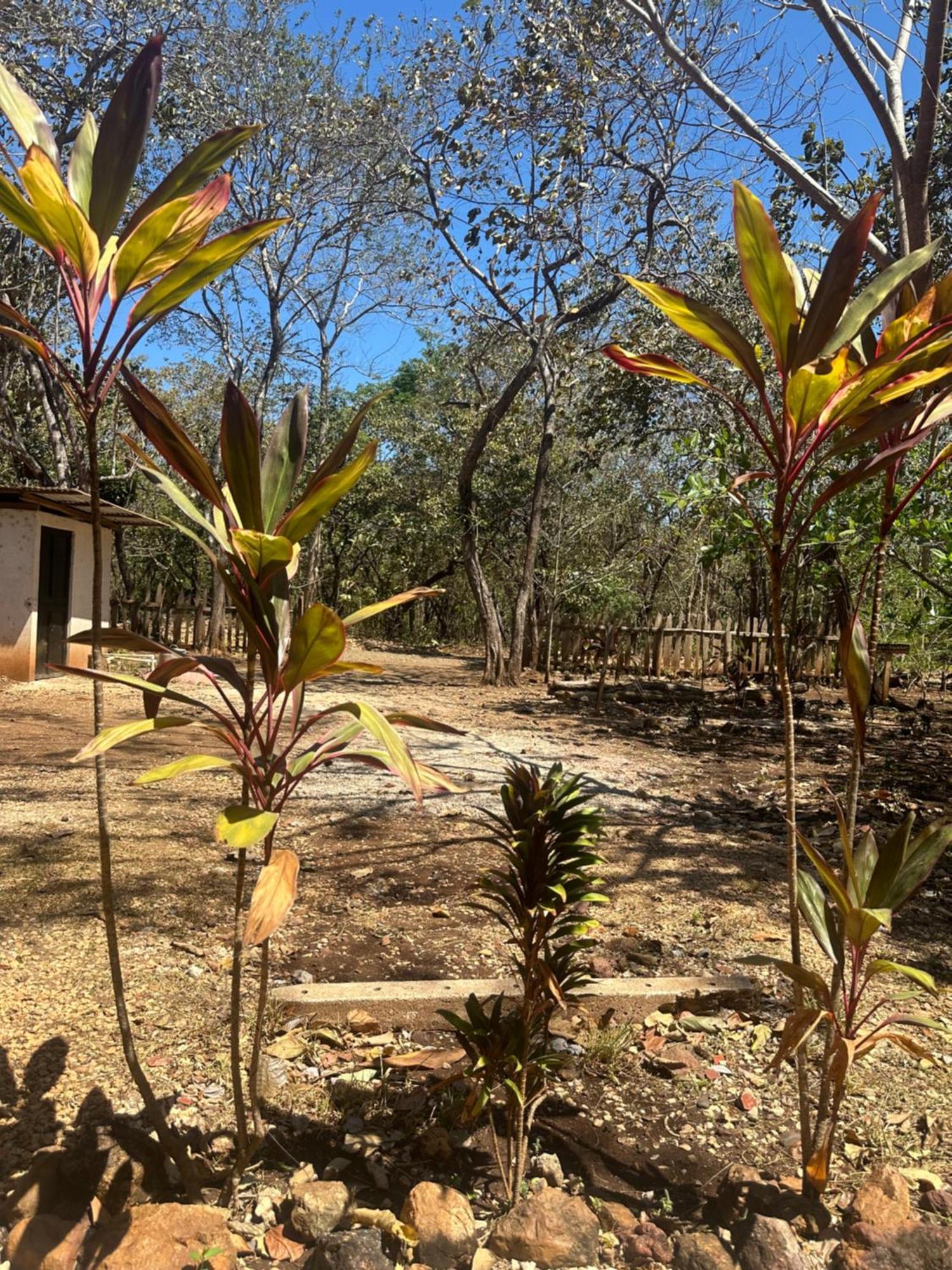 Finca Avellanas Lorena Екстер'єр фото
