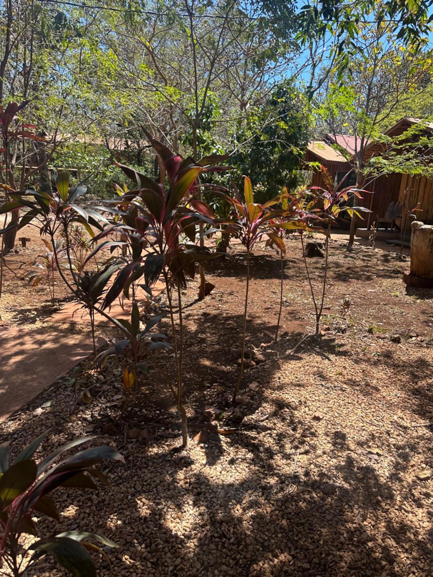 Finca Avellanas Lorena Екстер'єр фото