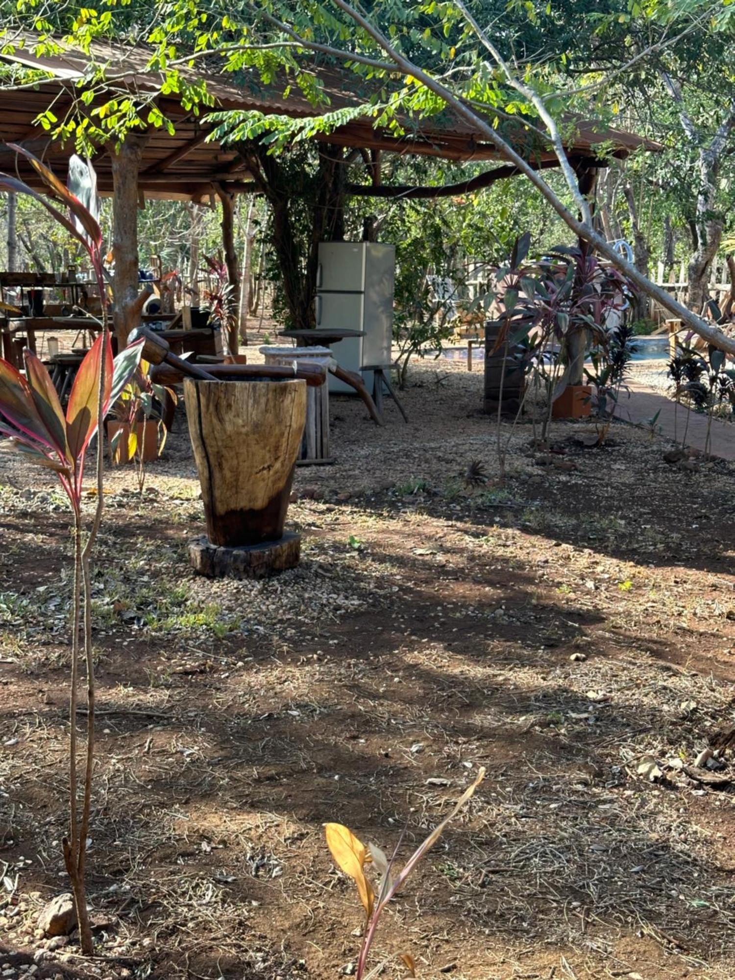 Finca Avellanas Lorena Екстер'єр фото